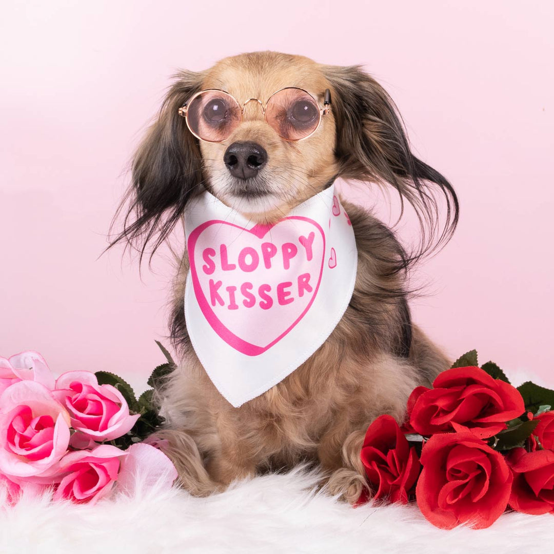 sloppy kisser dog bandana - bean goods