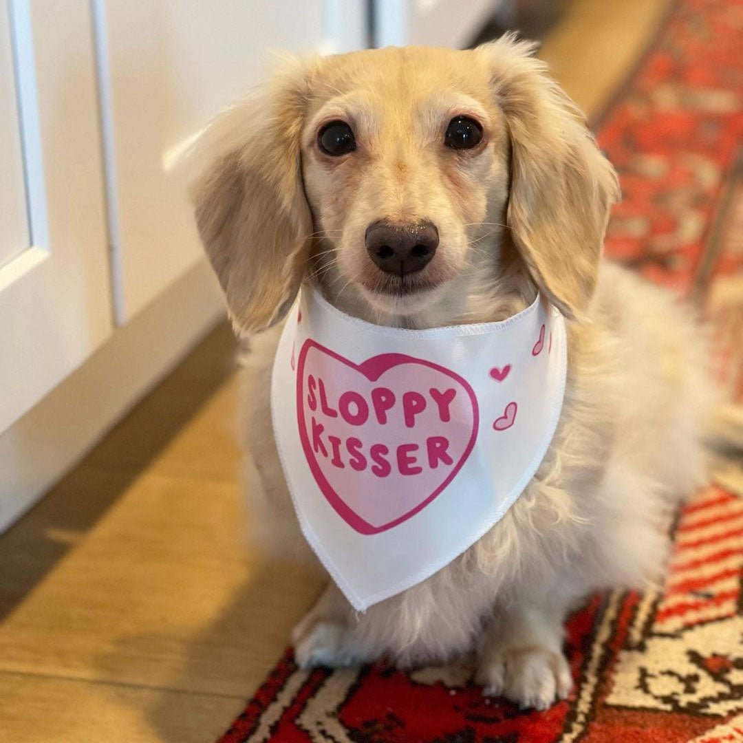 sloppy kisser dog bandana - bean goods