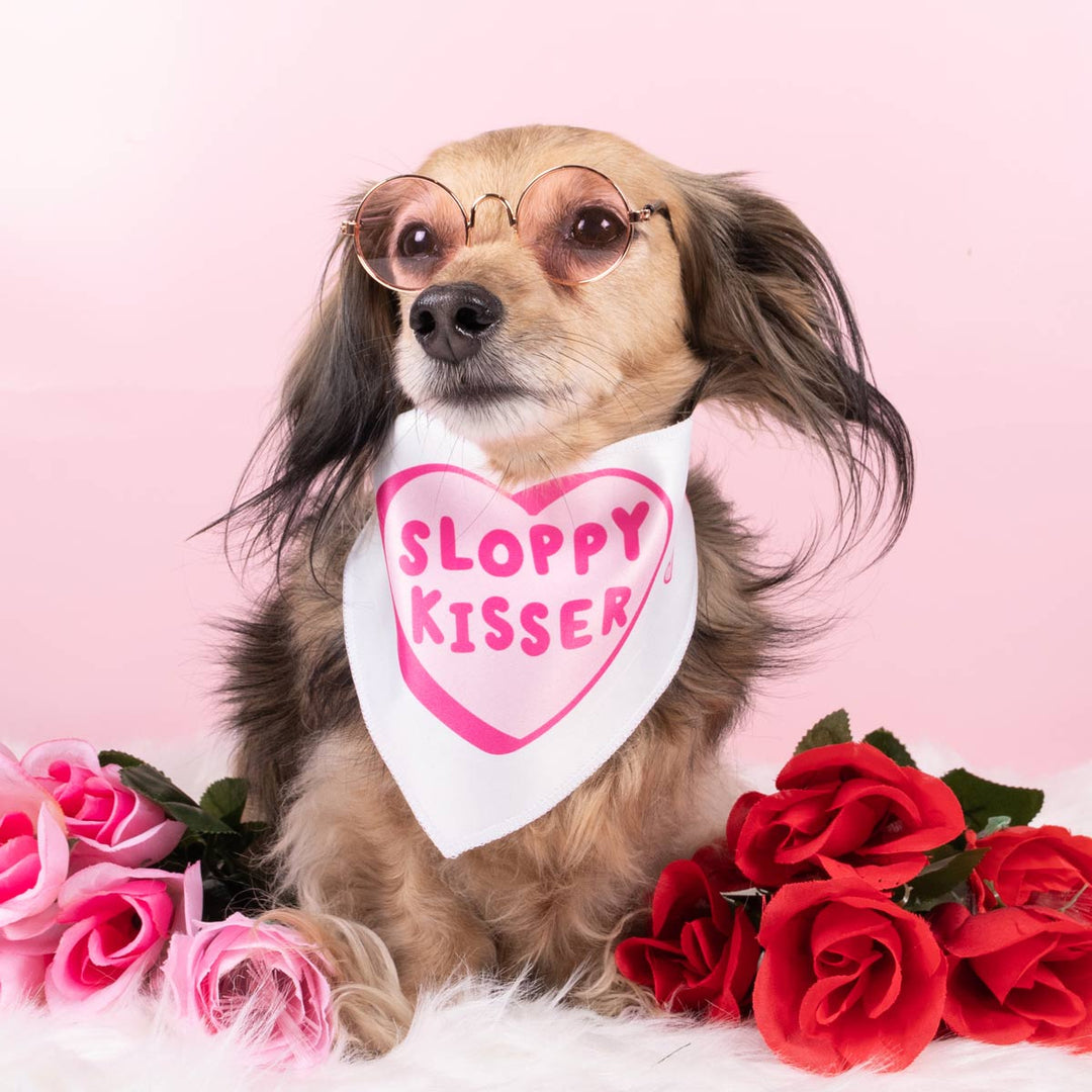 sloppy kisser dog bandana - bean goods