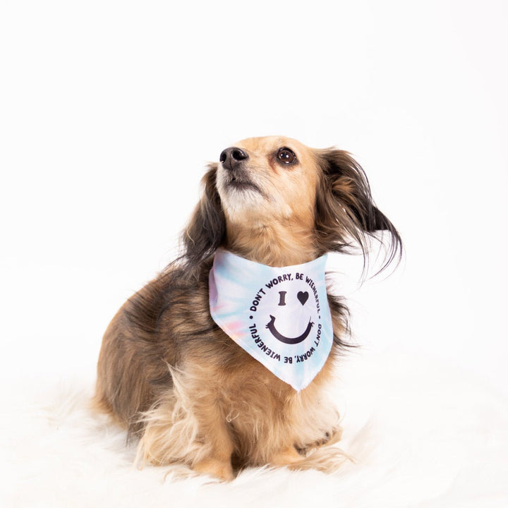 smiley ween dog bandana - bean goods