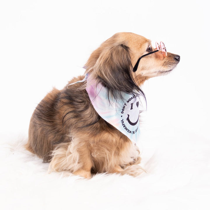 smiley ween dog bandana - bean goods