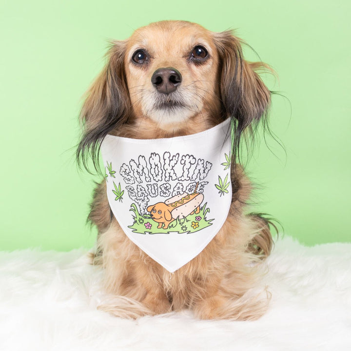 smokin' sausage dog bandana - bean goods