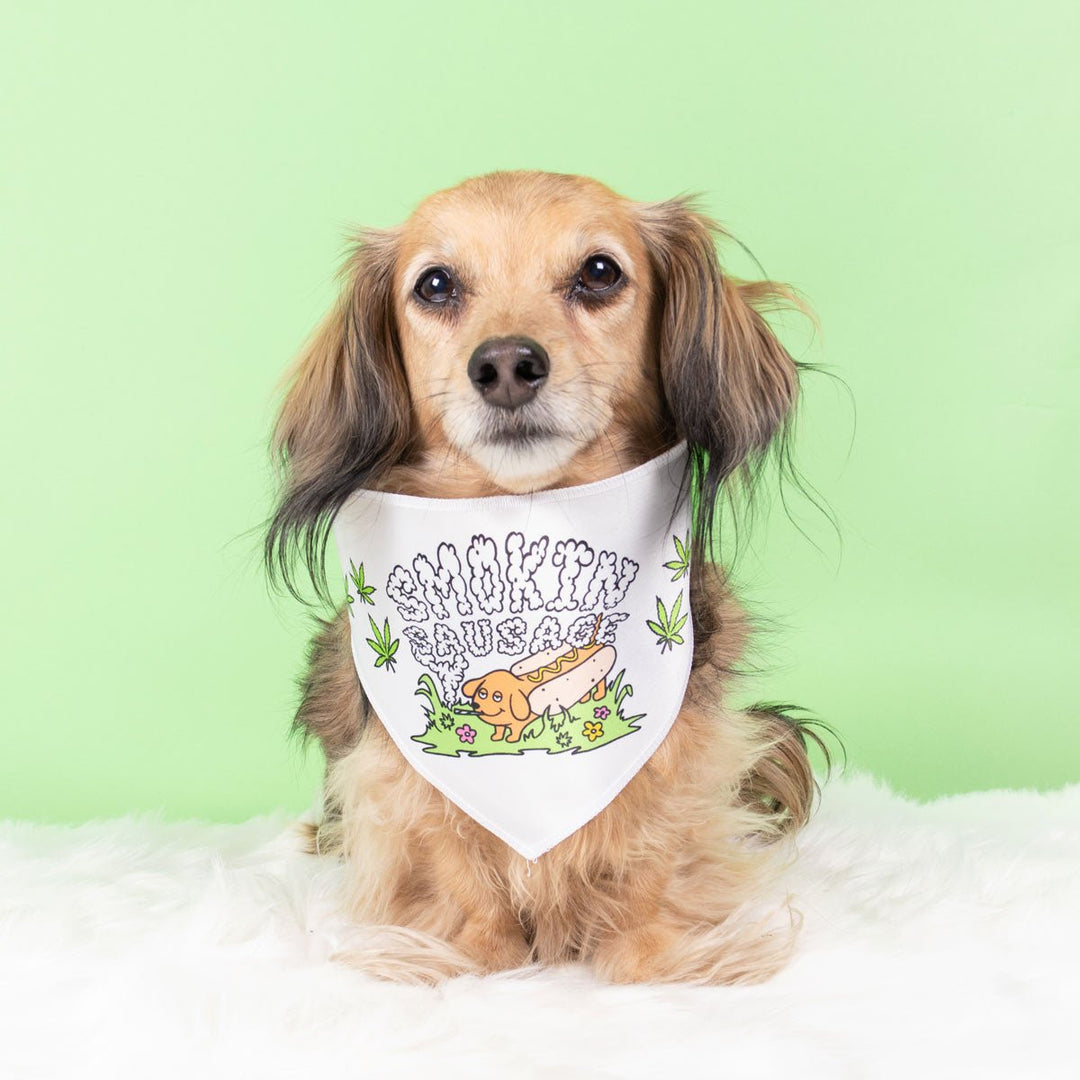 smokin' sausage dog bandana - bean goods