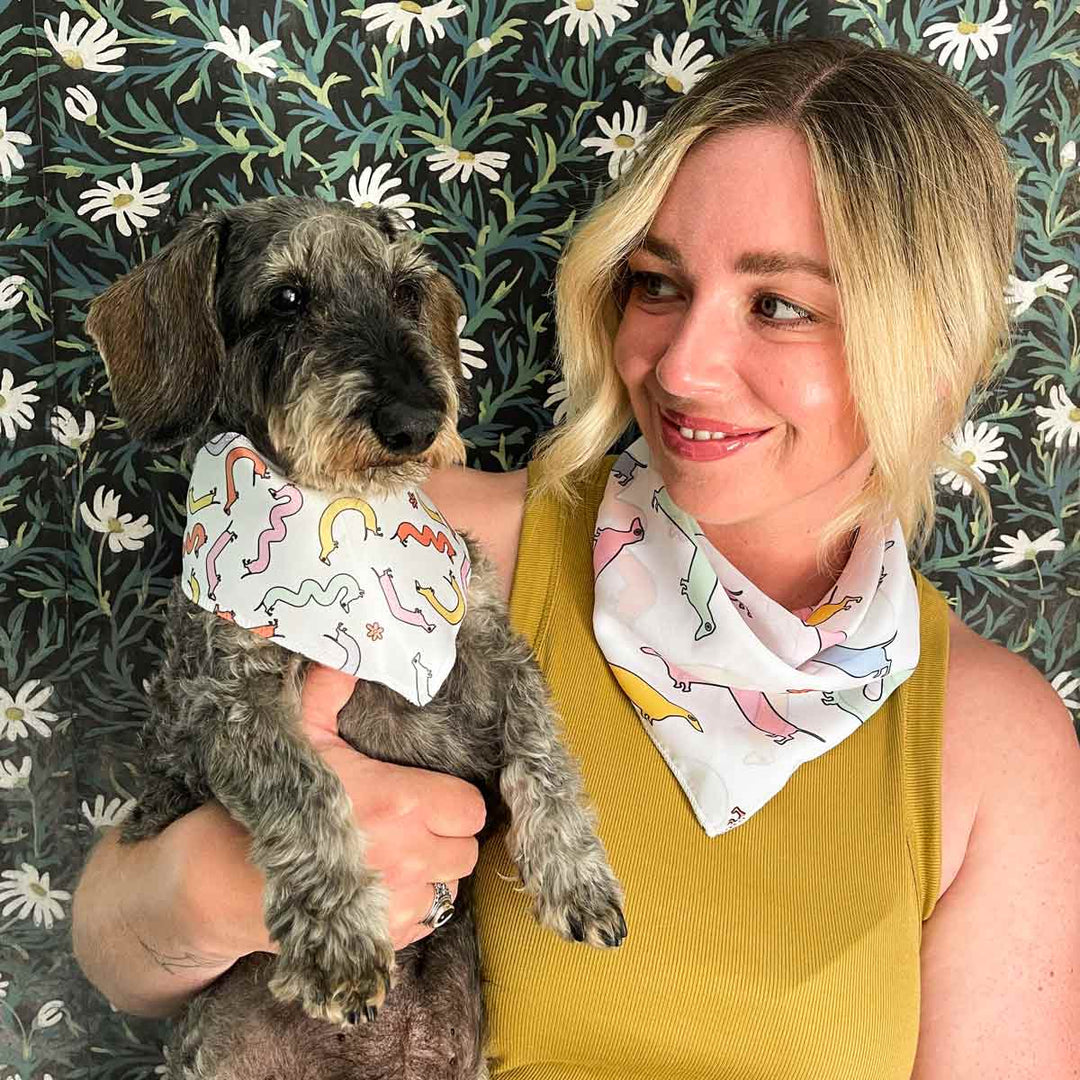 squiggly ween dog bandana - bean goods