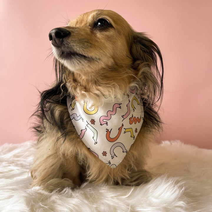 squiggly ween dog bandana - bean goods