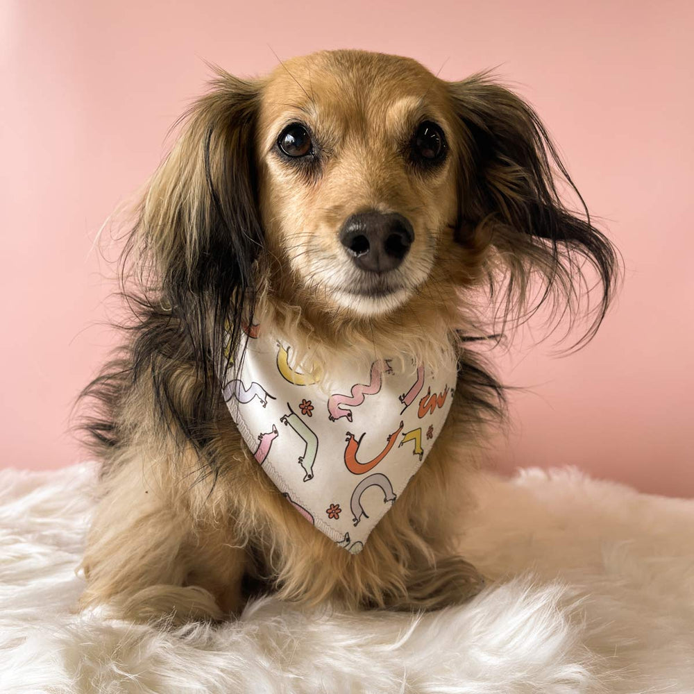 squiggly ween dog bandana - bean goods