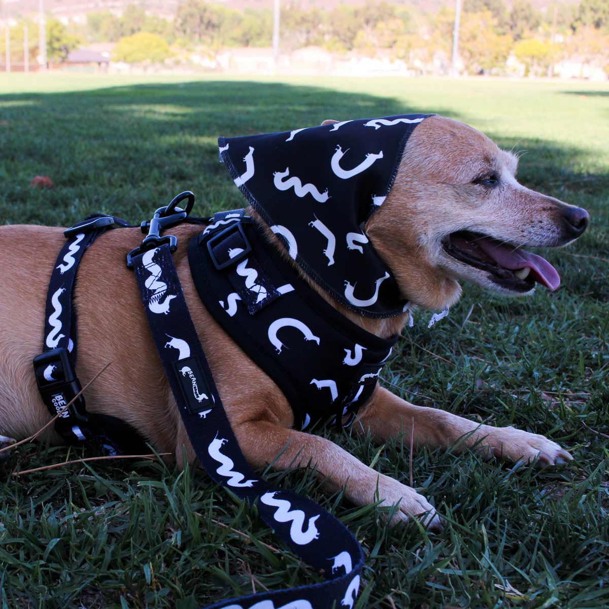 squiggly ween dog bandana | black - bean goods