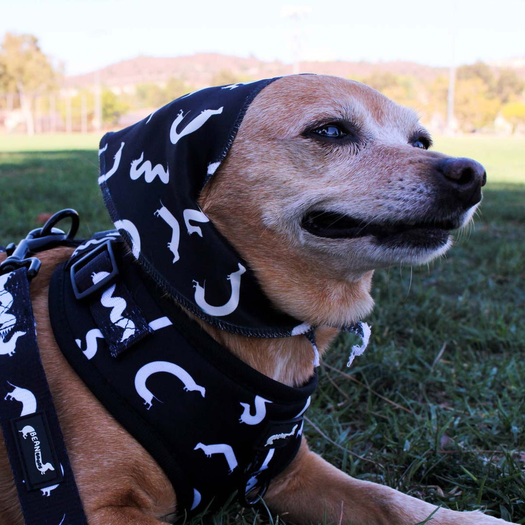 squiggly ween dog bandana | black - bean goods