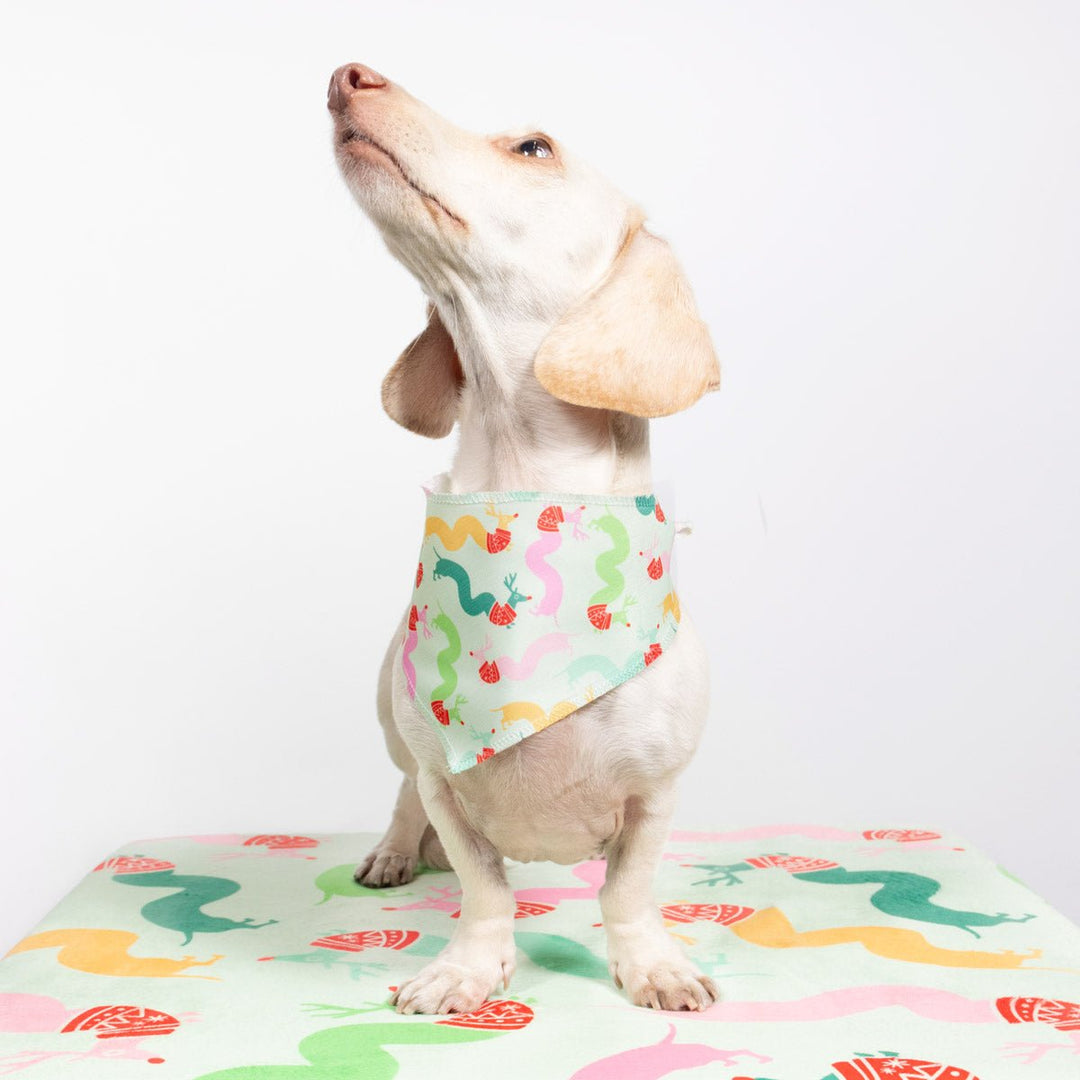 squiggly weendeer dog bandana - bean goods