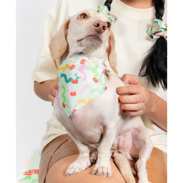 squiggly weendeer dog bandana - bean goods