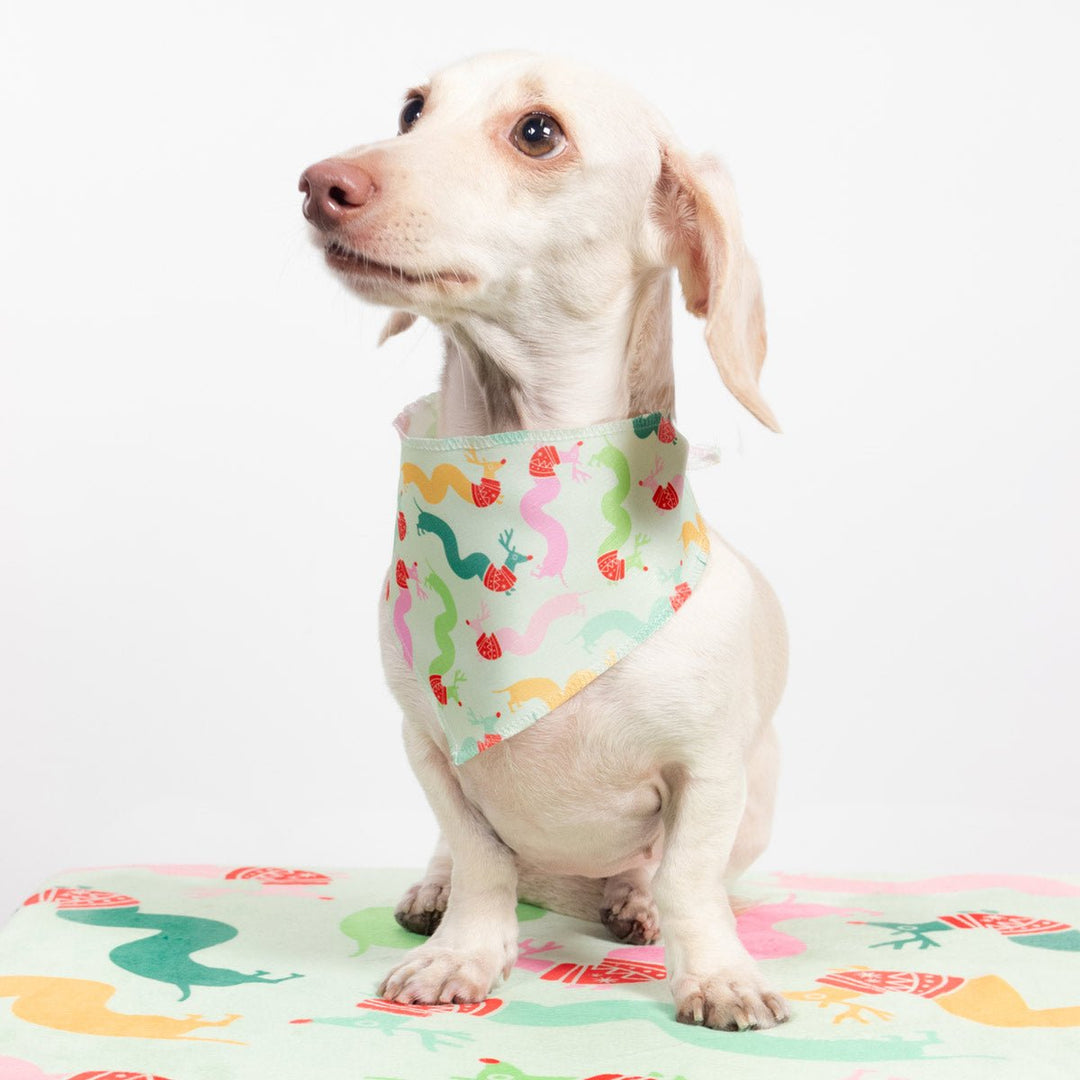 squiggly weendeer dog bandana - bean goods