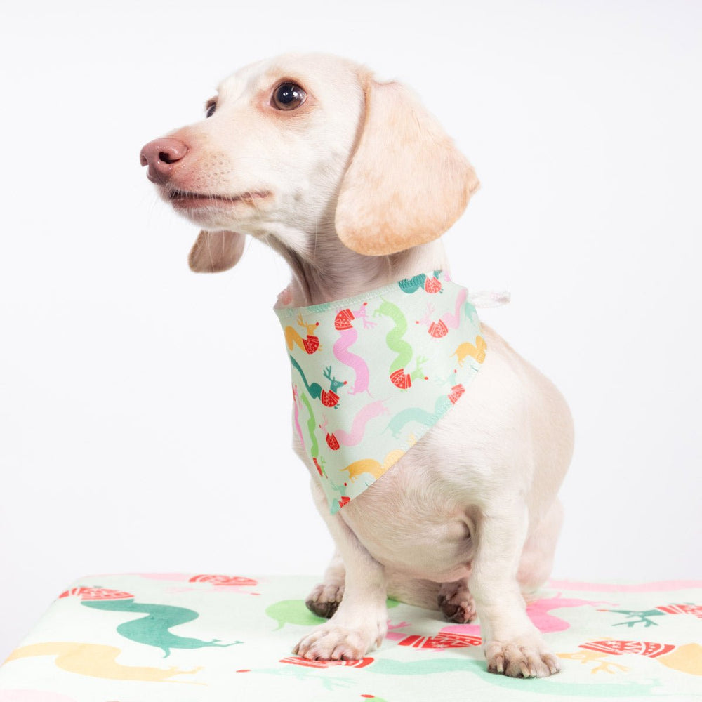 squiggly weendeer dog bandana - bean goods