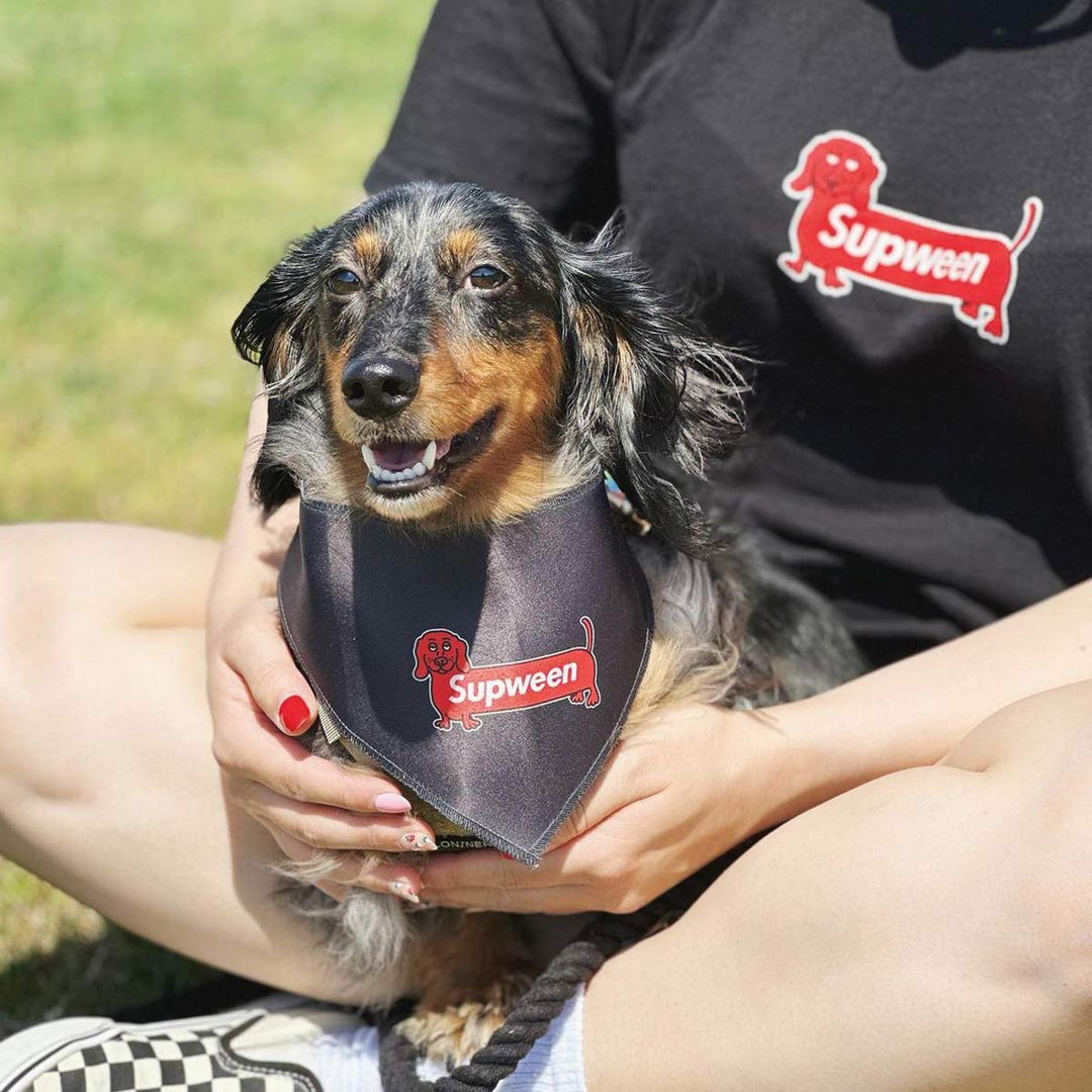 supween dog bandana - bean goods