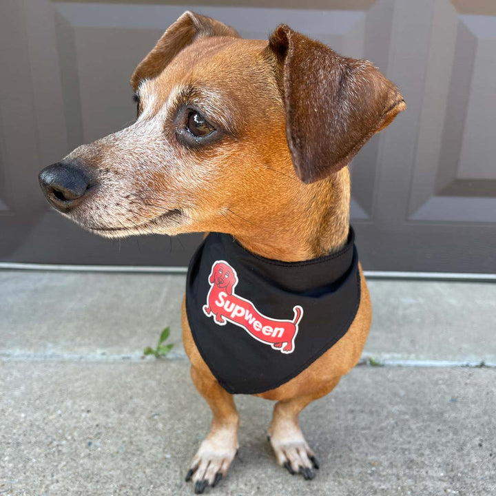 supween dog bandana - bean goods