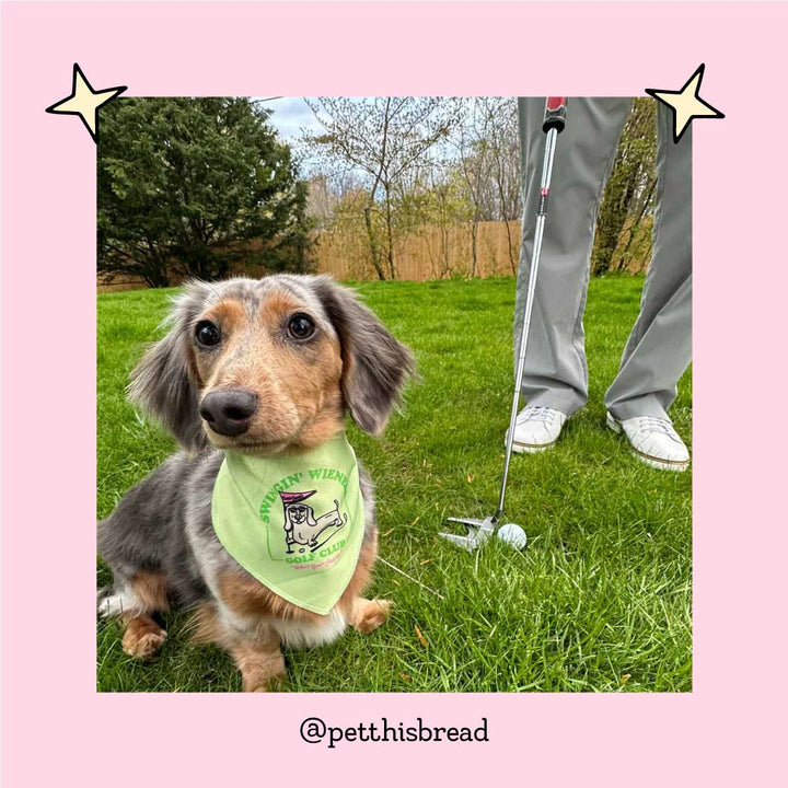 swingin' wieners golf club dog bandana - bean goods