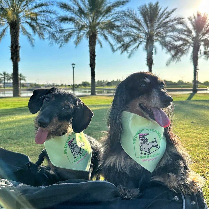 swingin' wieners golf club dog bandana - bean goods