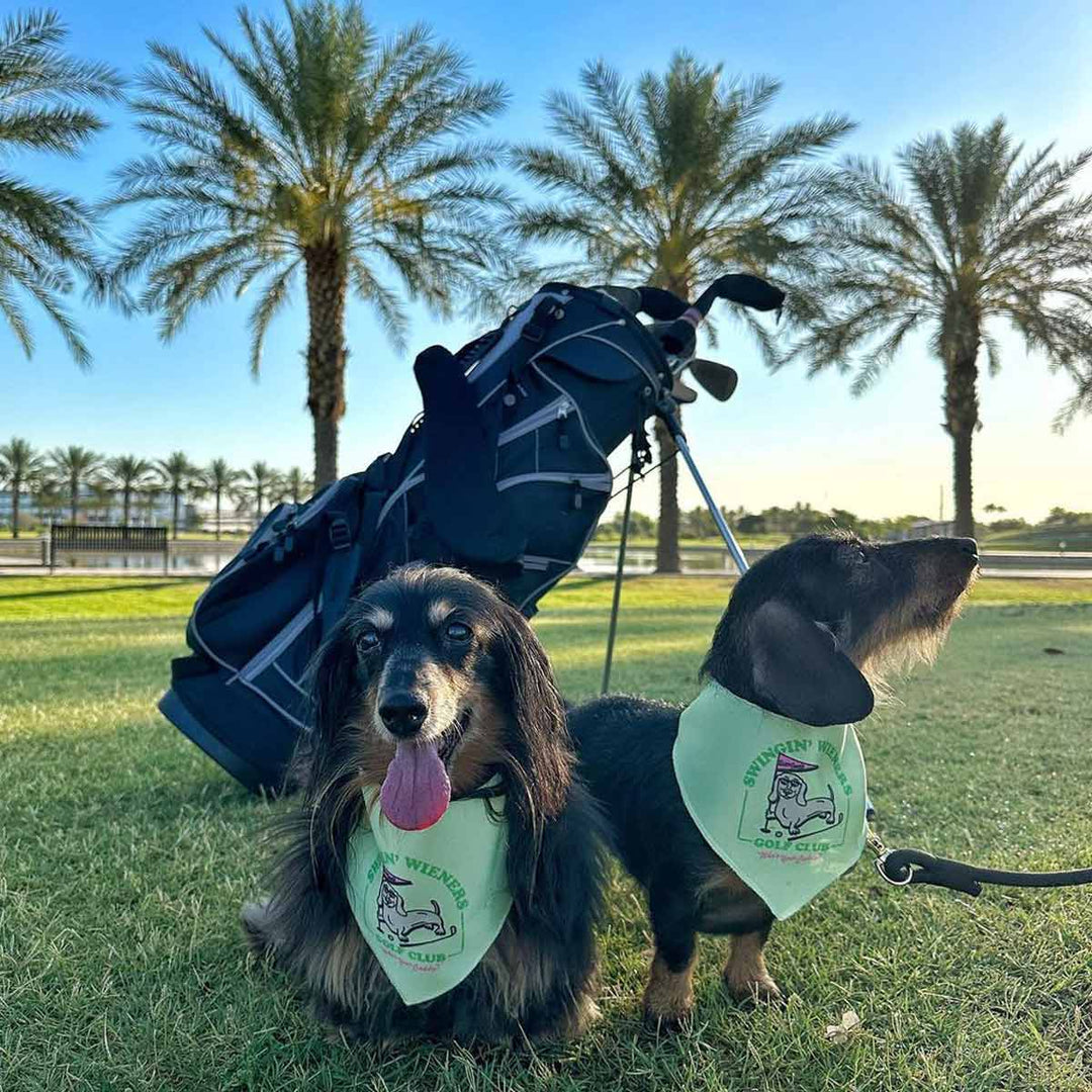 swingin' wieners golf club dog bandana - bean goods