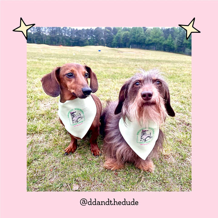 swingin' wieners golf club dog bandana - bean goods