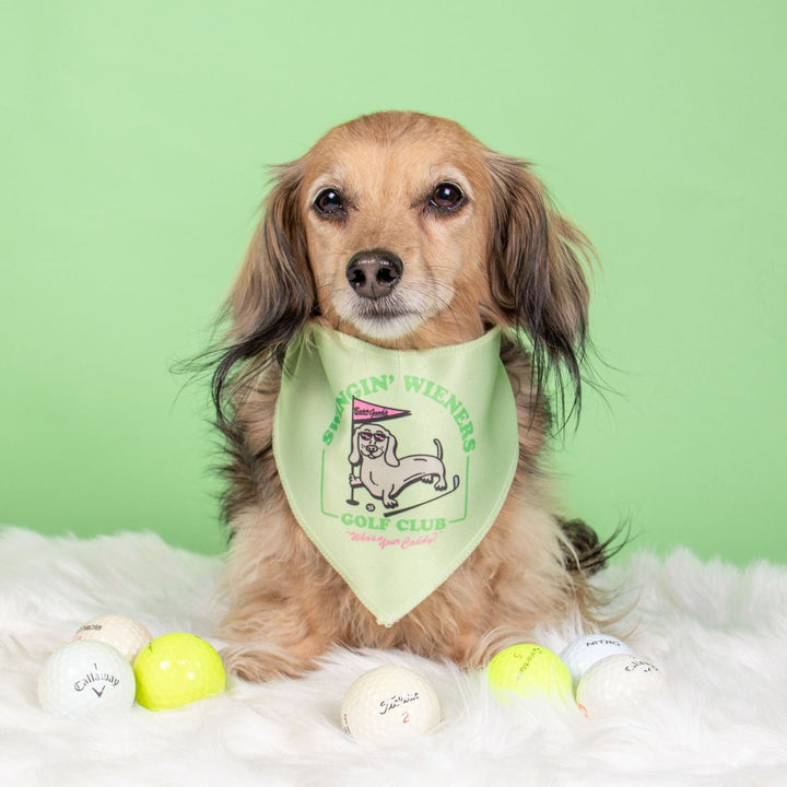 swingin' wieners golf club dog bandana - bean goods