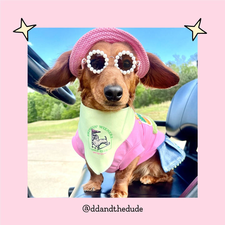 swingin' wieners golf club dog bandana - bean goods