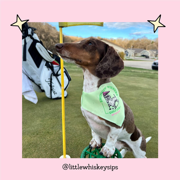 swingin' wieners golf club dog bandana - bean goods