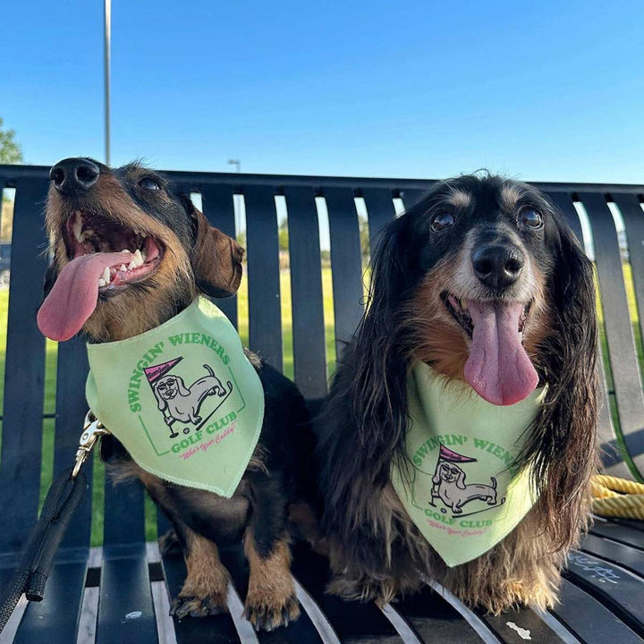 swingin' wieners golf club dog bandana - bean goods