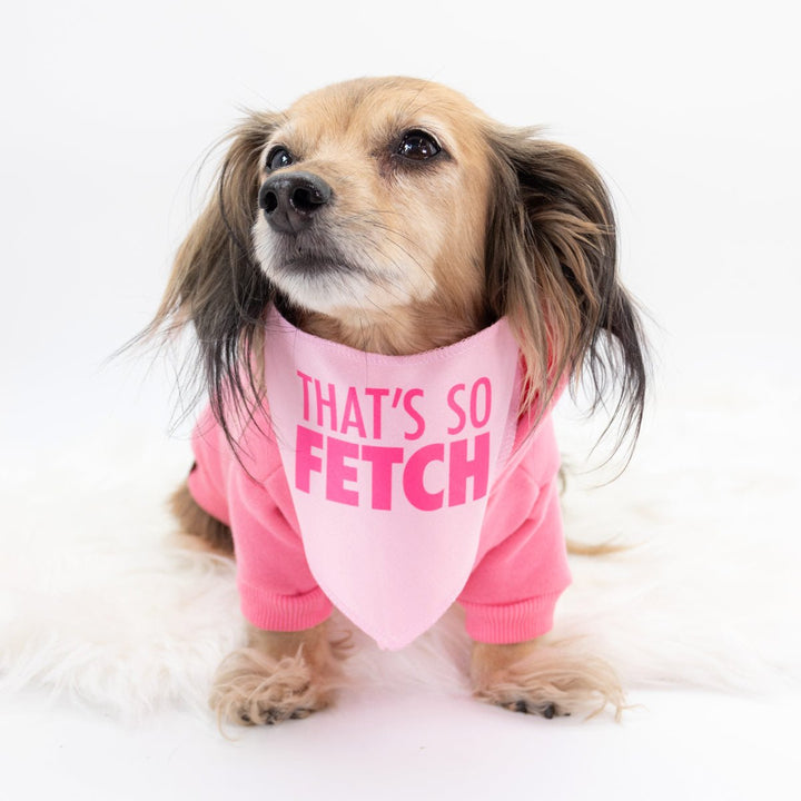 that's so fetch dog bandana - bean goods