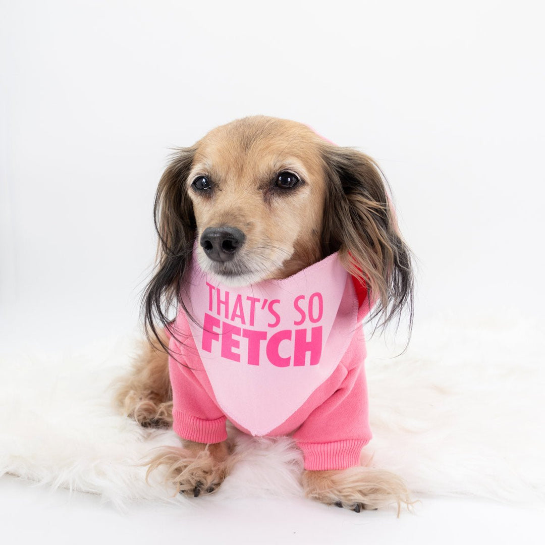 that's so fetch dog bandana - bean goods