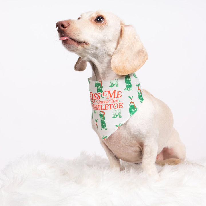 under the mistletoe dog bandana - bean goods