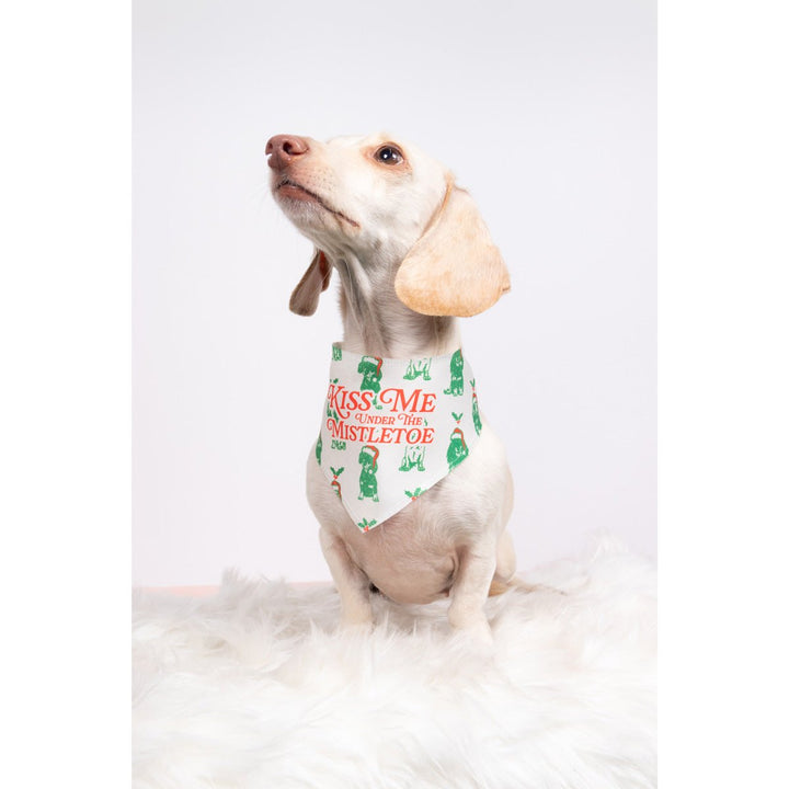 under the mistletoe dog bandana - bean goods