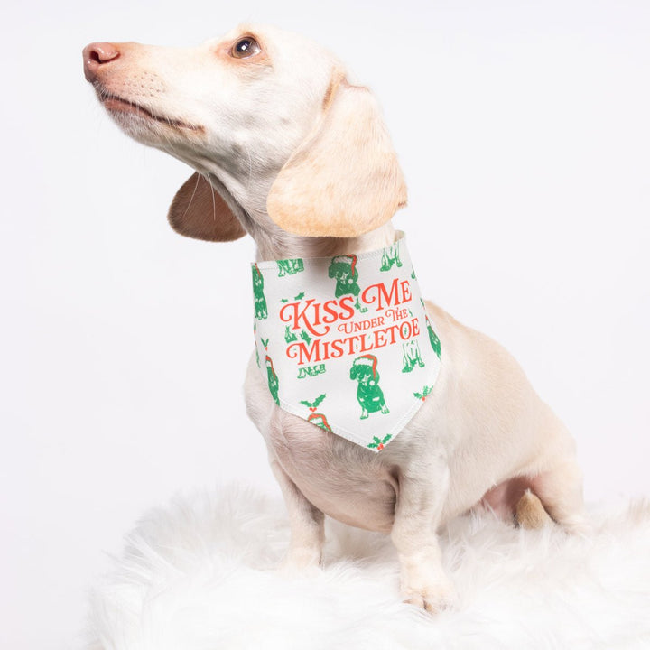 under the mistletoe dog bandana - bean goods