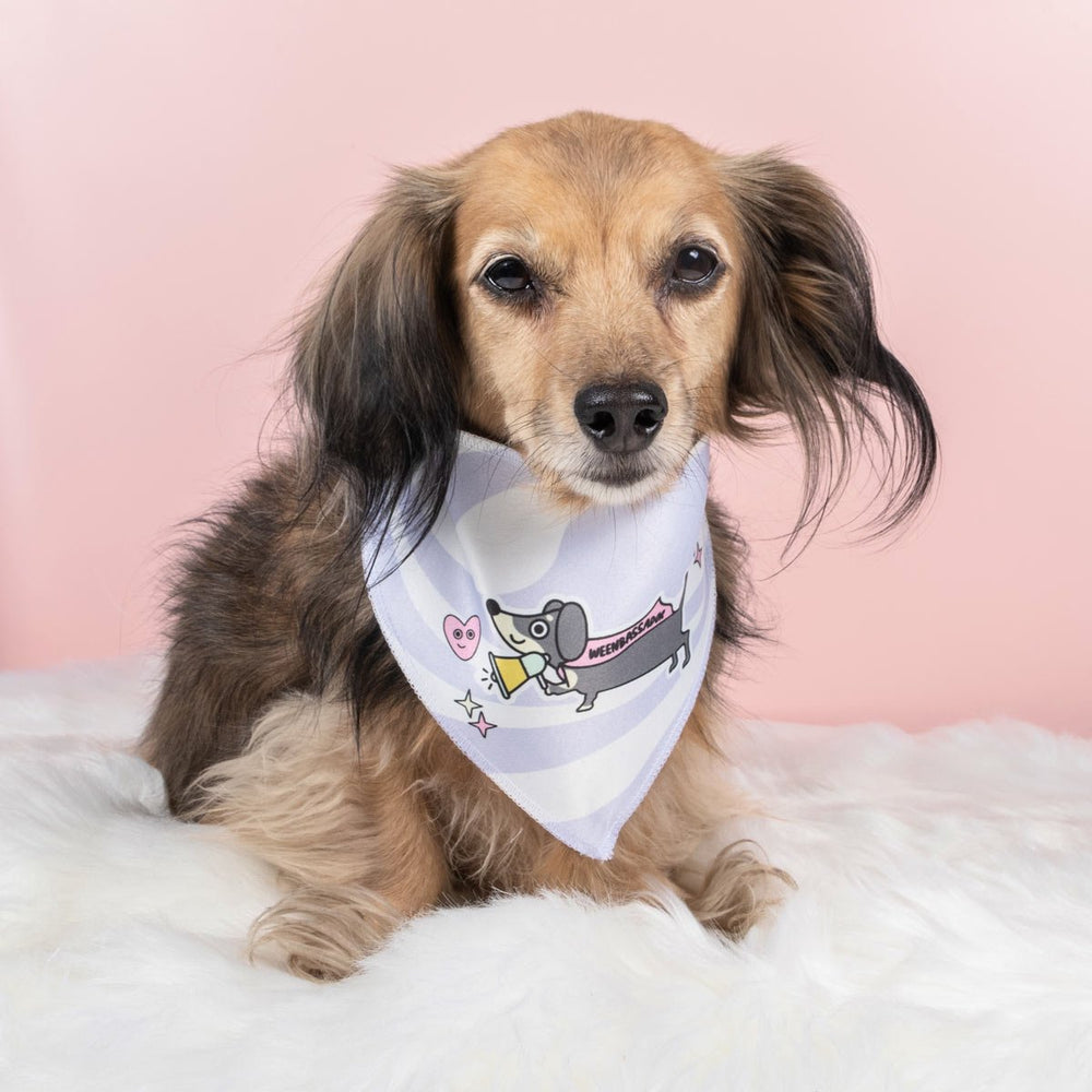 weenbassador dog bandana - bean goods