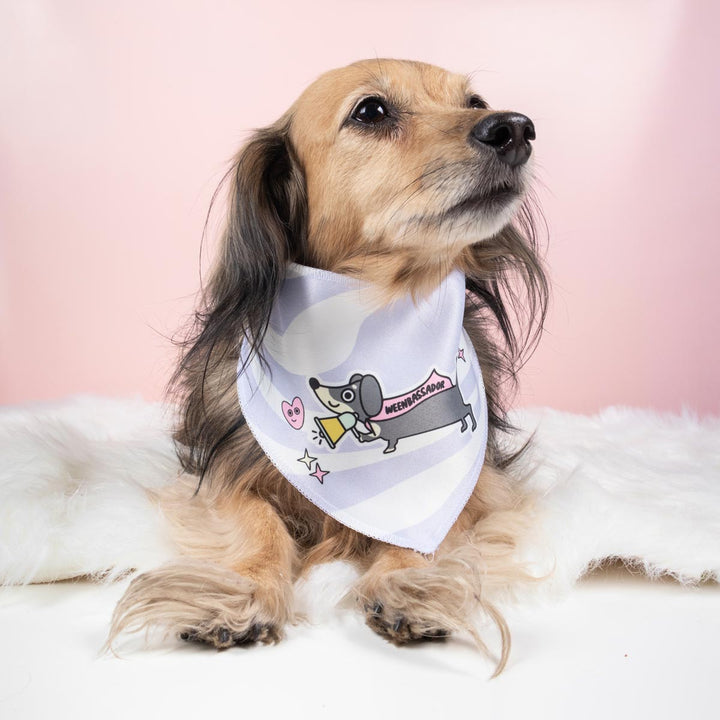 weenbassador dog bandana - bean goods