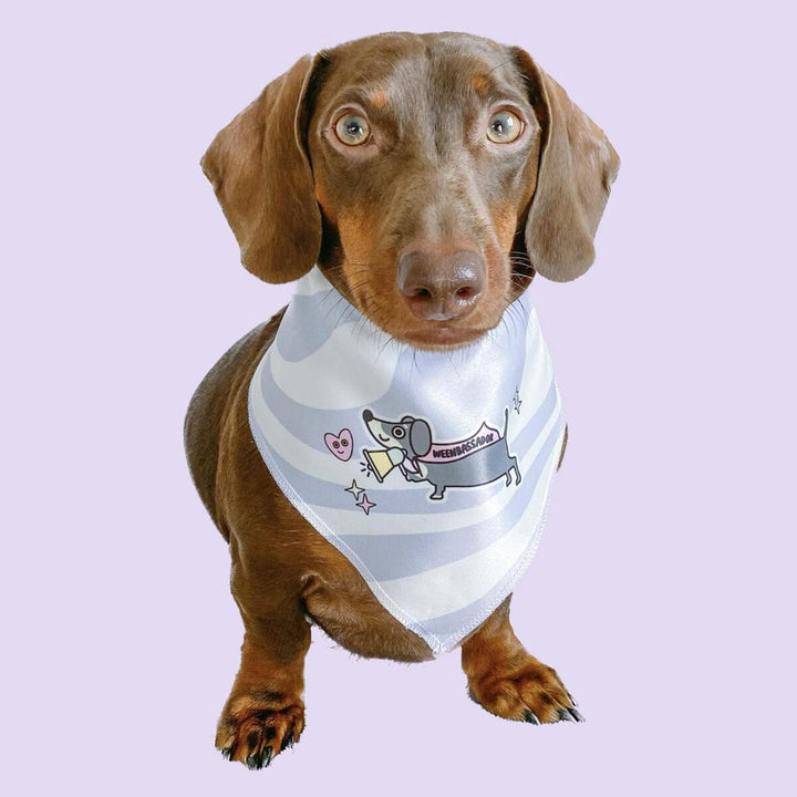 weenbassador dog bandana - bean goods