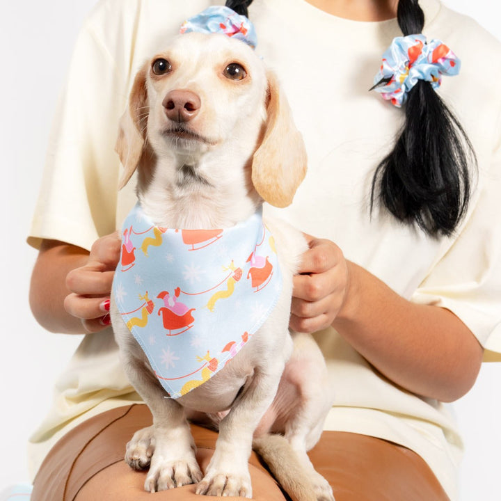 weendeer wonderland dog bandana - bean goods