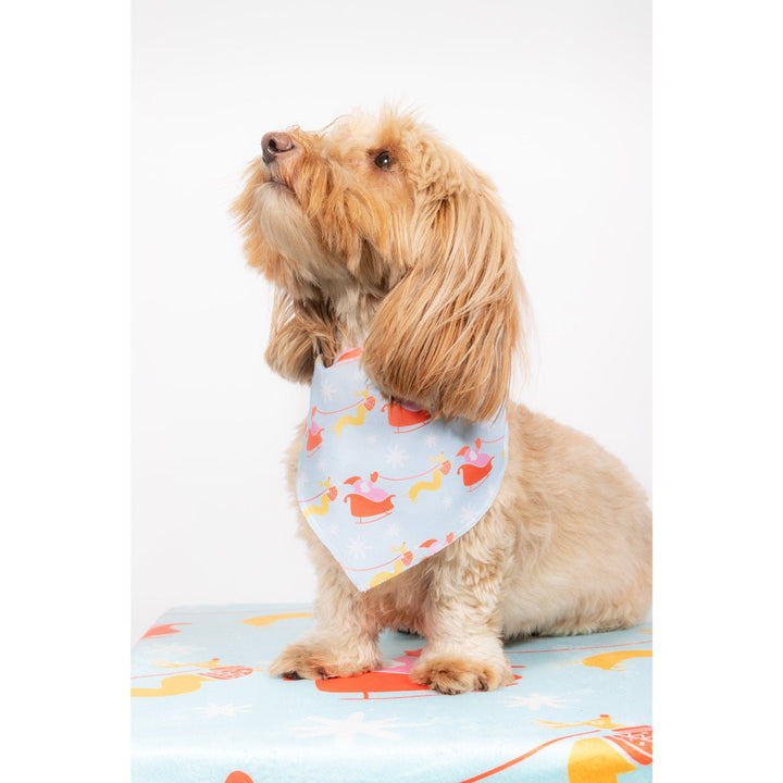 weendeer wonderland dog bandana - bean goods