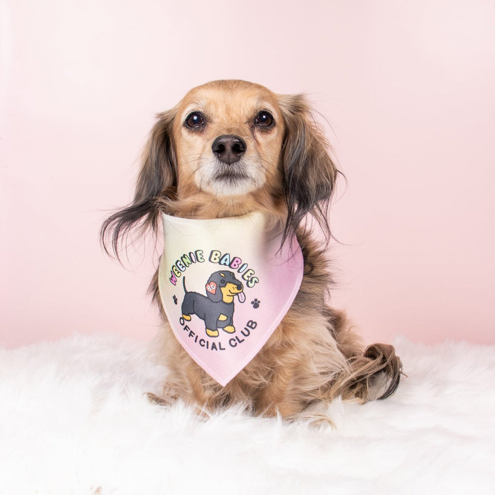 weenie babies dog bandana - bean goods