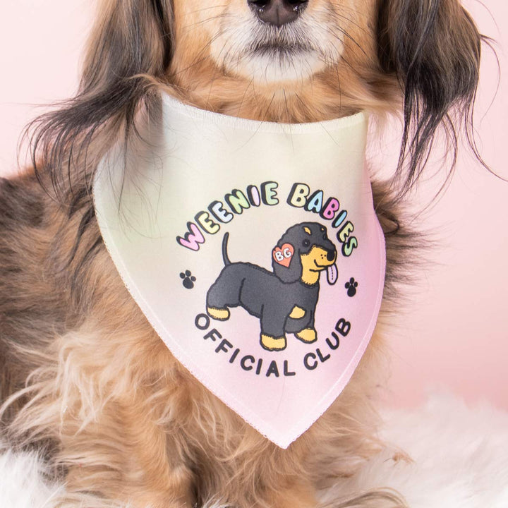 weenie babies dog bandana - bean goods