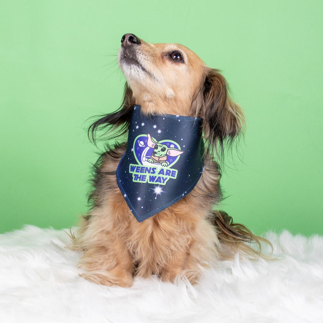 weens are the way dog bandana - bean goods