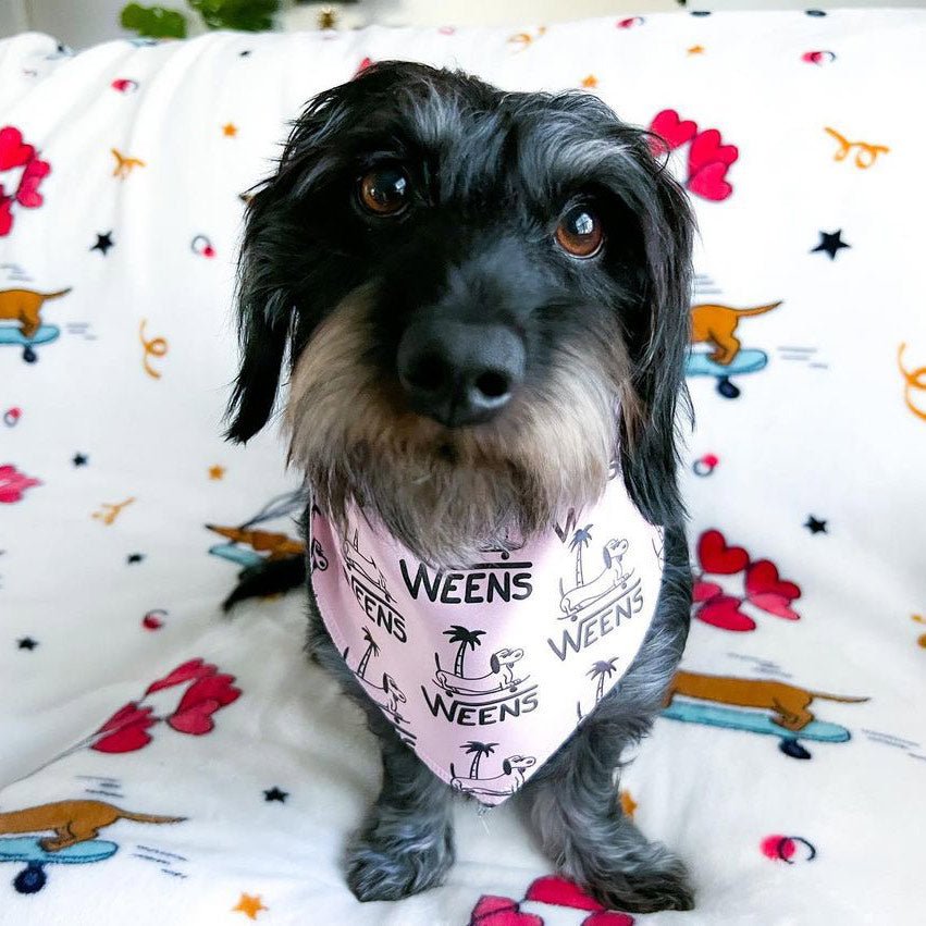 WEENS dog bandana - bean goods