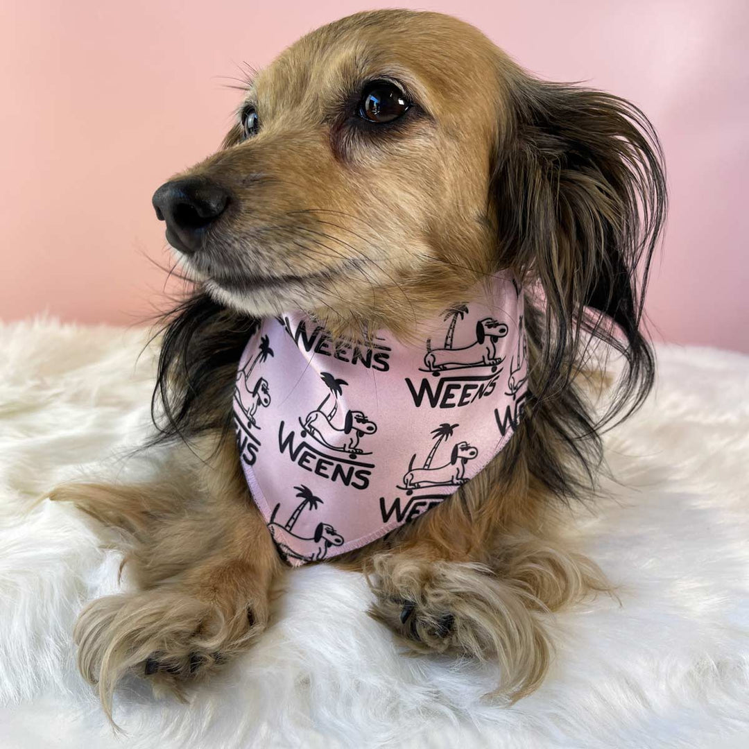 WEENS dog bandana - bean goods