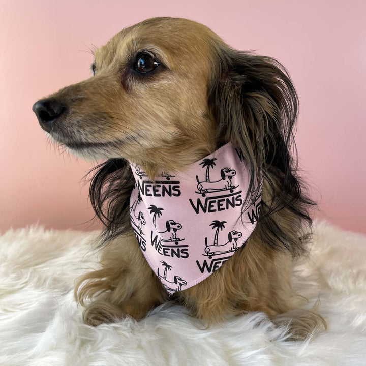 WEENS dog bandana - bean goods