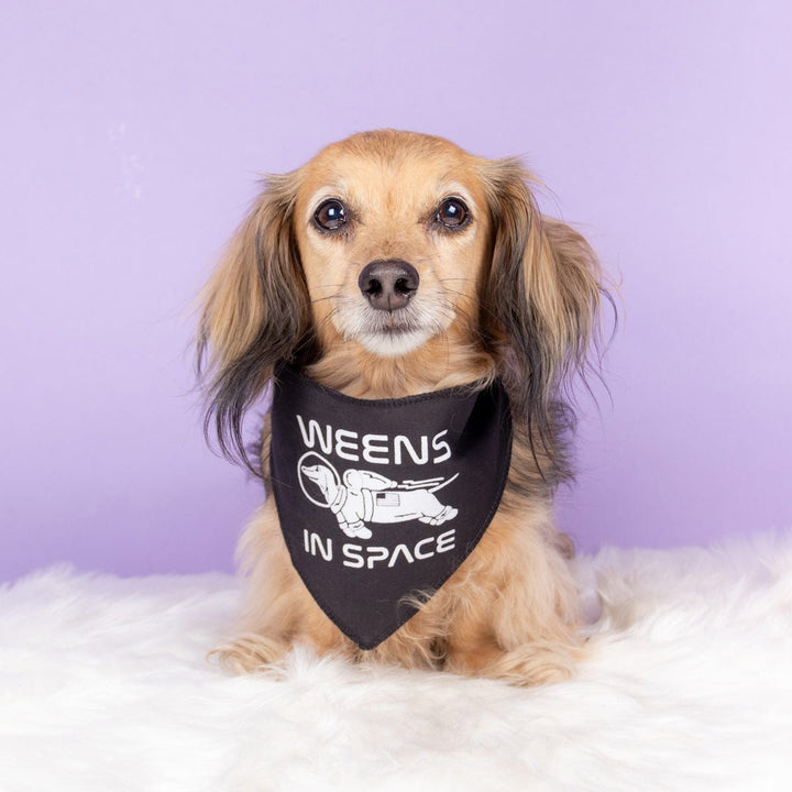 weens in space dog bandana - bean goods