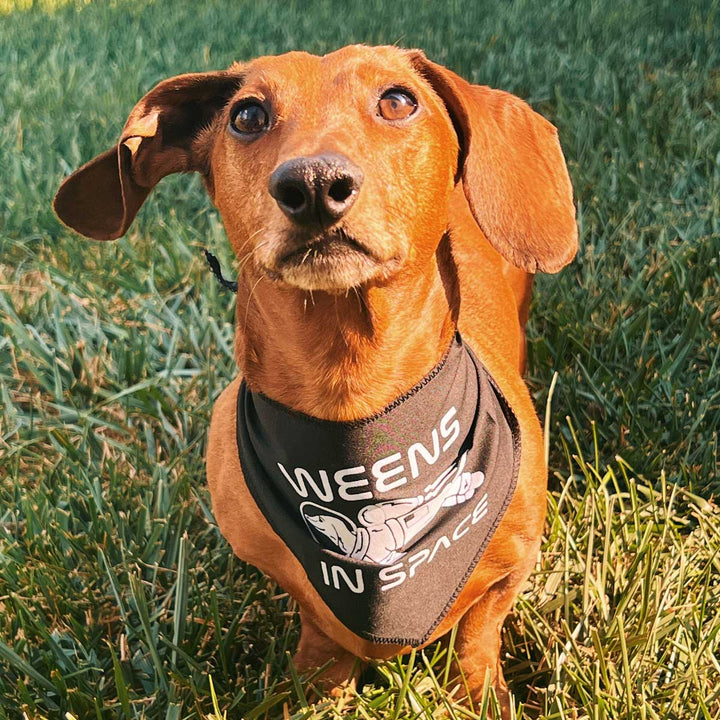 weens in space dog bandana - bean goods