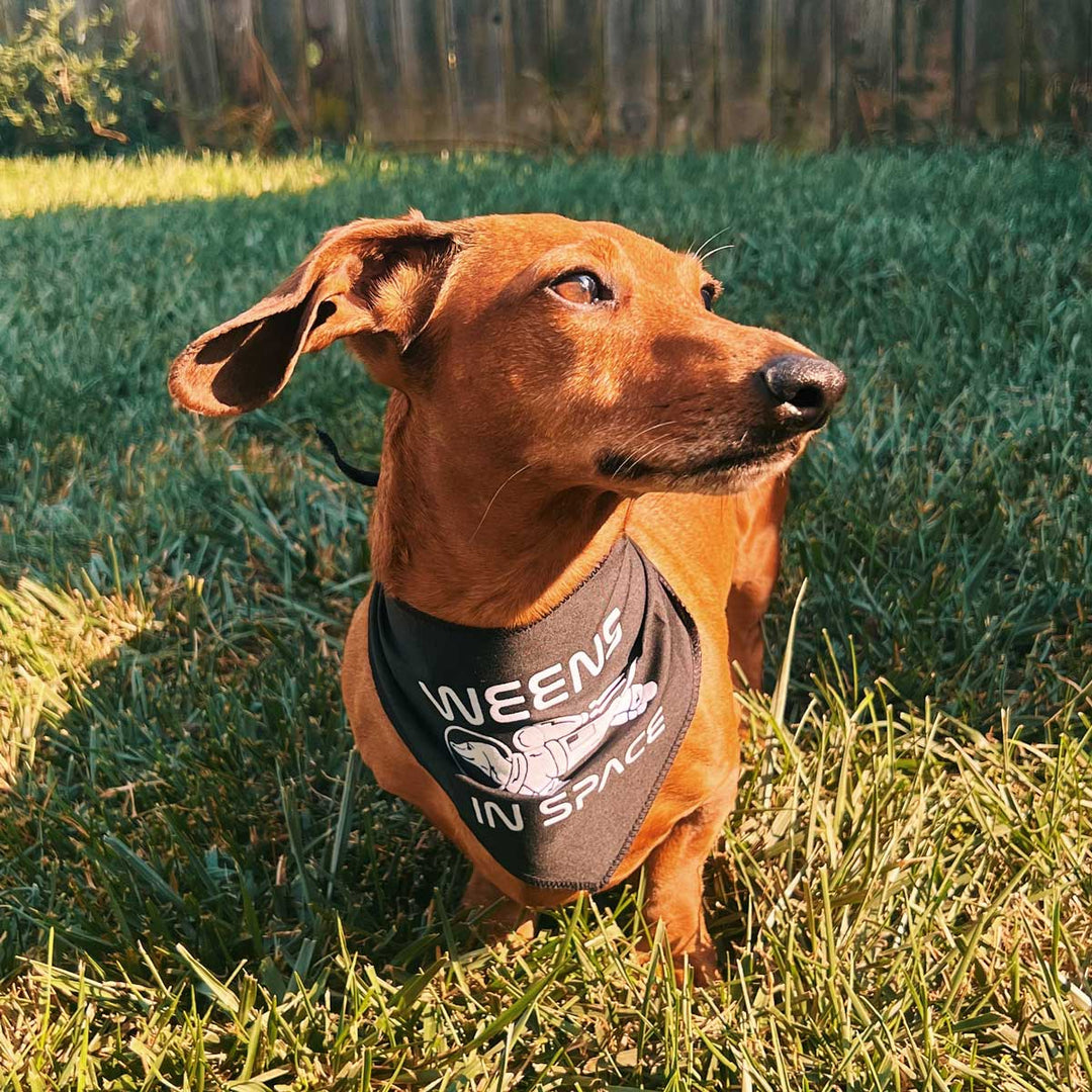 weens in space dog bandana - bean goods