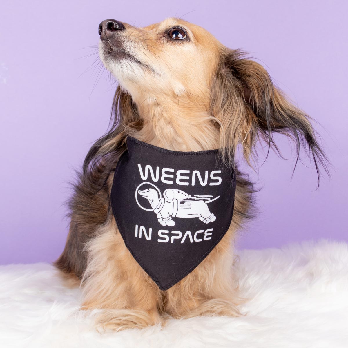 weens in space dog bandana - bean goods