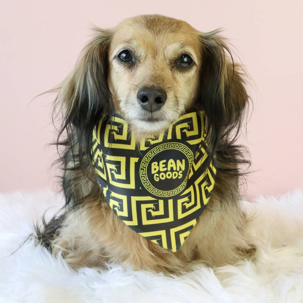 weensace dog bandana - bean goods