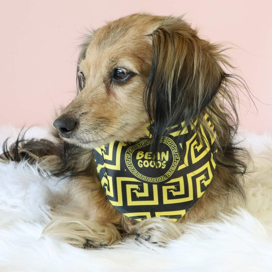 weensace dog bandana - bean goods