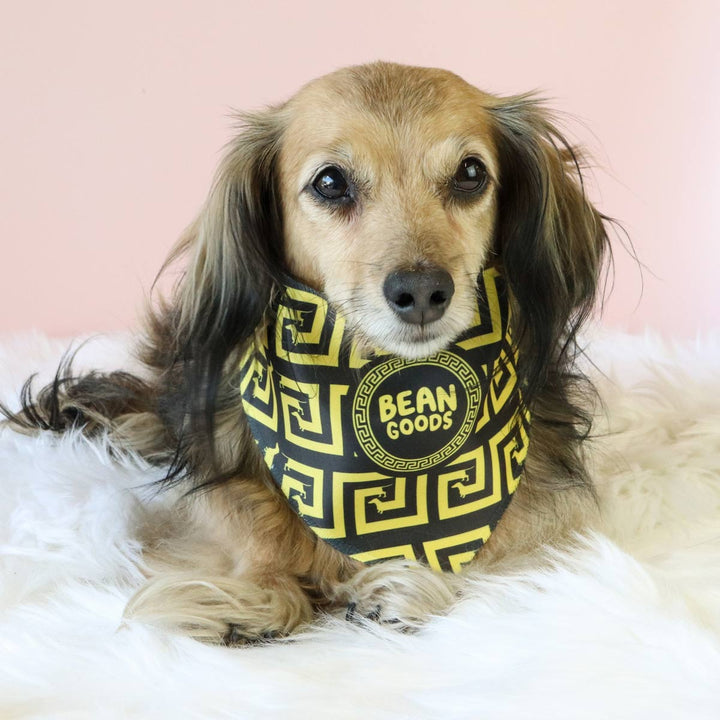 weensace dog bandana - bean goods