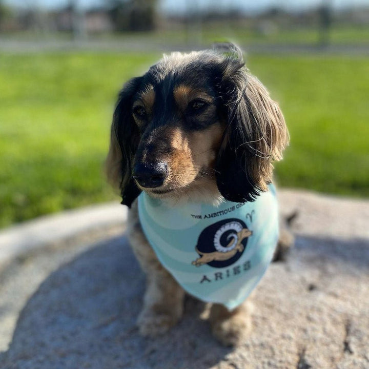 weenstrology dog bandana | pick your sign - bean goods